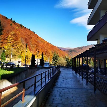 Serenity Suite Синая Экстерьер фото